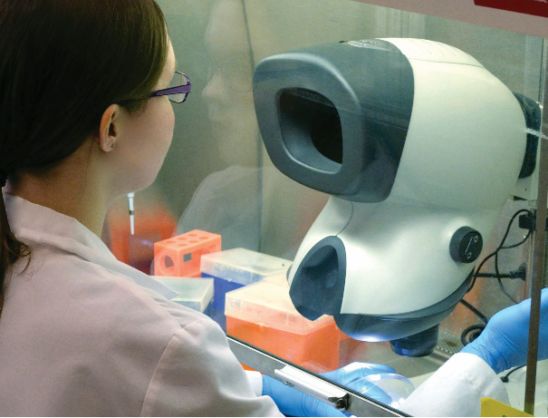  Woman with glasses using Mantis microscope inside laminar flow cabinet